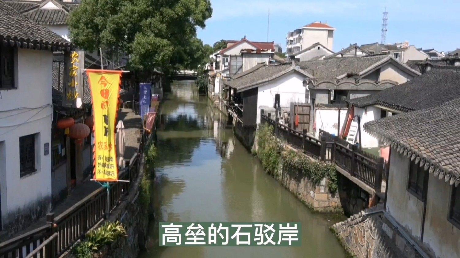 逃离神秘之林